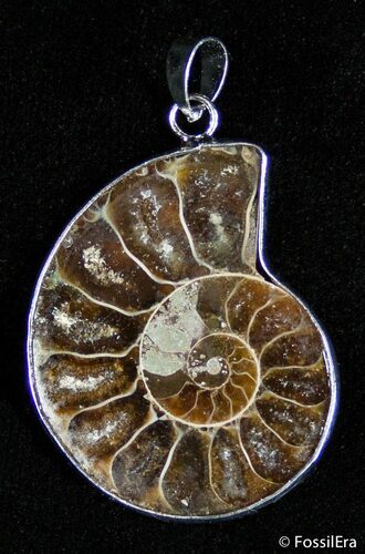 Polished Ammonite Pendant #2601